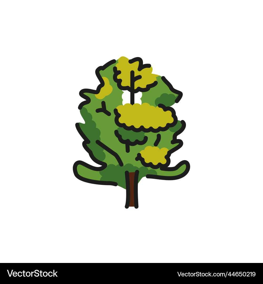 Alder tree color line icon pictogram for web page Vector Image