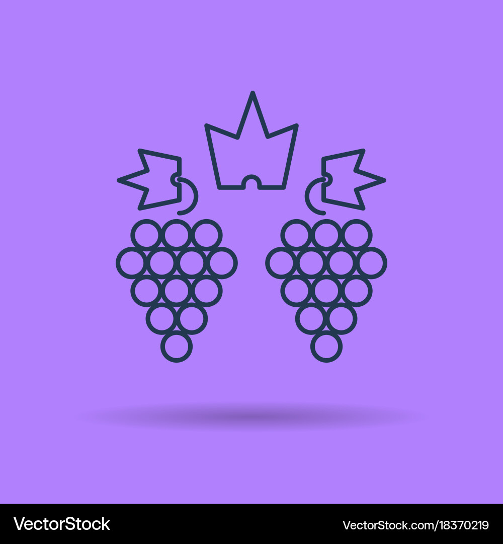 Isolated linear icon of two clusters grapes vector image