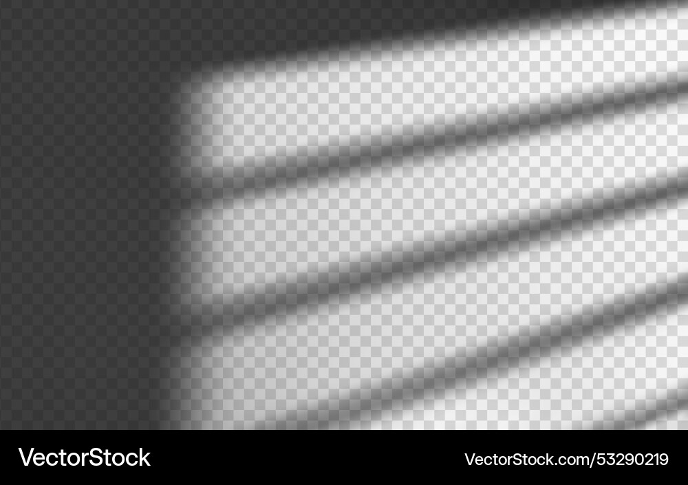 Light effect shadow overlay from blind isolated vector image