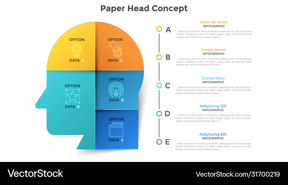 Paper head infographic Paper head infographic vector image