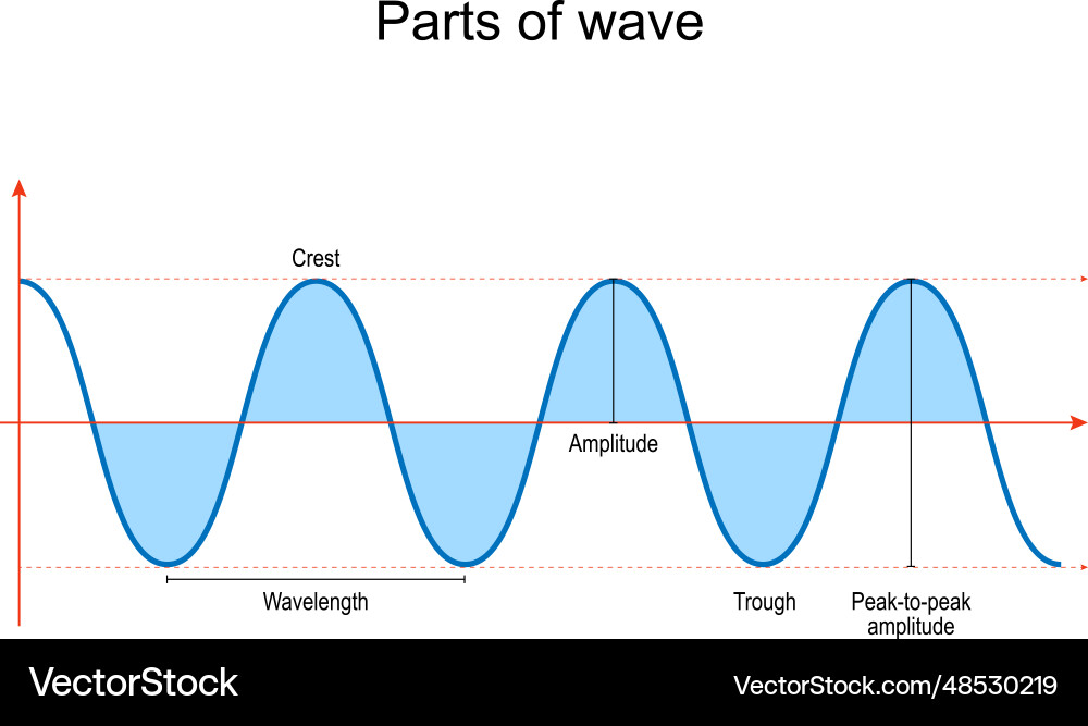 Parts of wave Royalty Free Vector Image - VectorStock