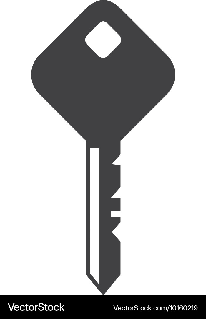 Security Key Icon vector image