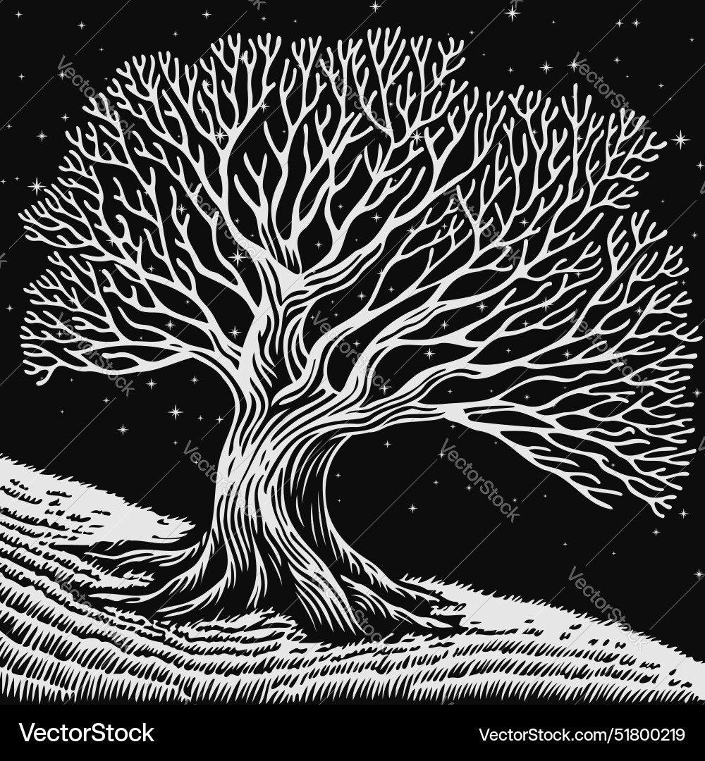 Tree without leaves black and white landscape – Royalty-Free Vector ...