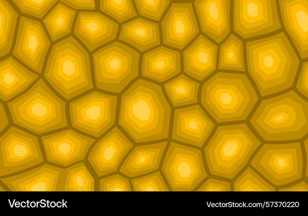Abstract modern turtle shell seamless pattern Abstract modern turtle shell seamless pattern Vector Image