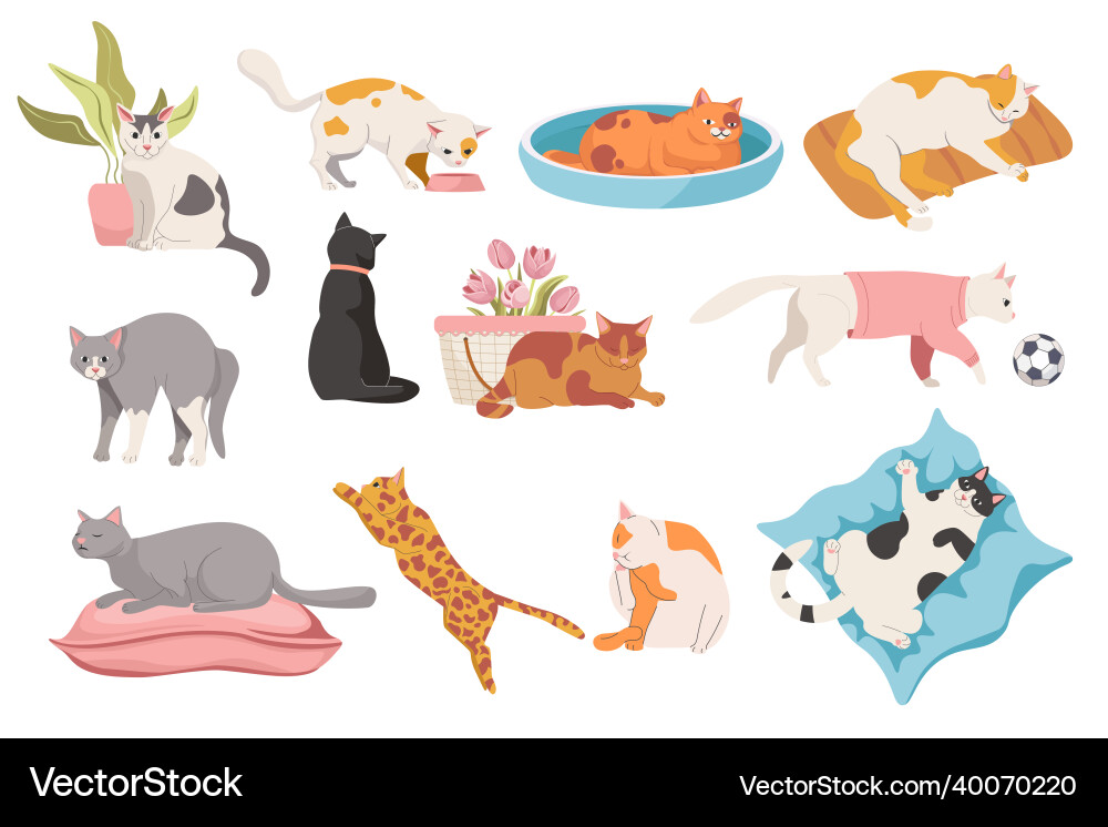 Adorable Cats in Various Poses Vector Image