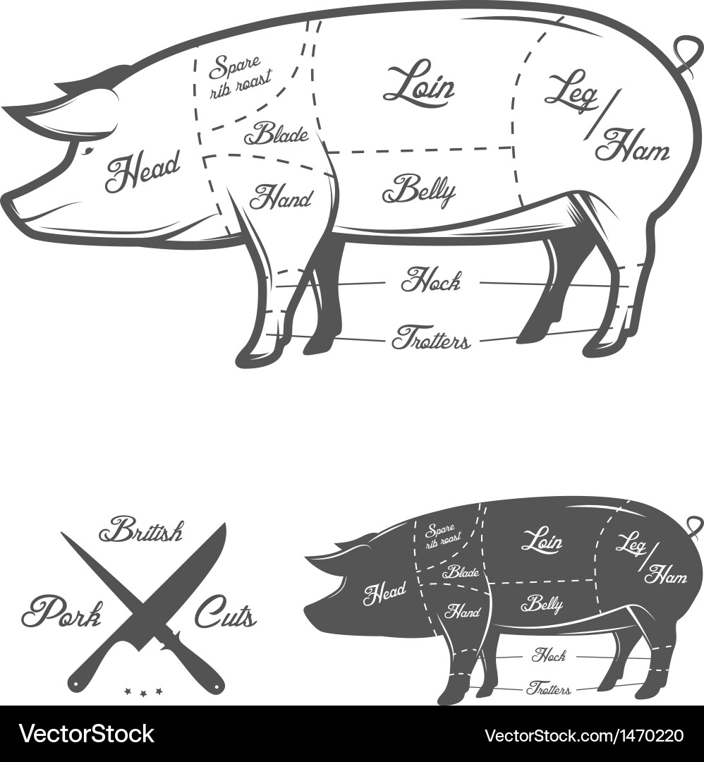 Pork Cuts & Butchery Guide Vector Image