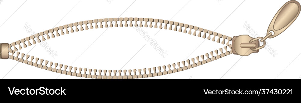 Zipper tool icon cartoon style Royalty Free Vector Image