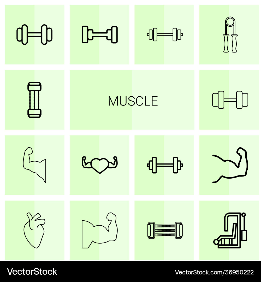 14 muscle icons Royalty Free Vector Image - VectorStock