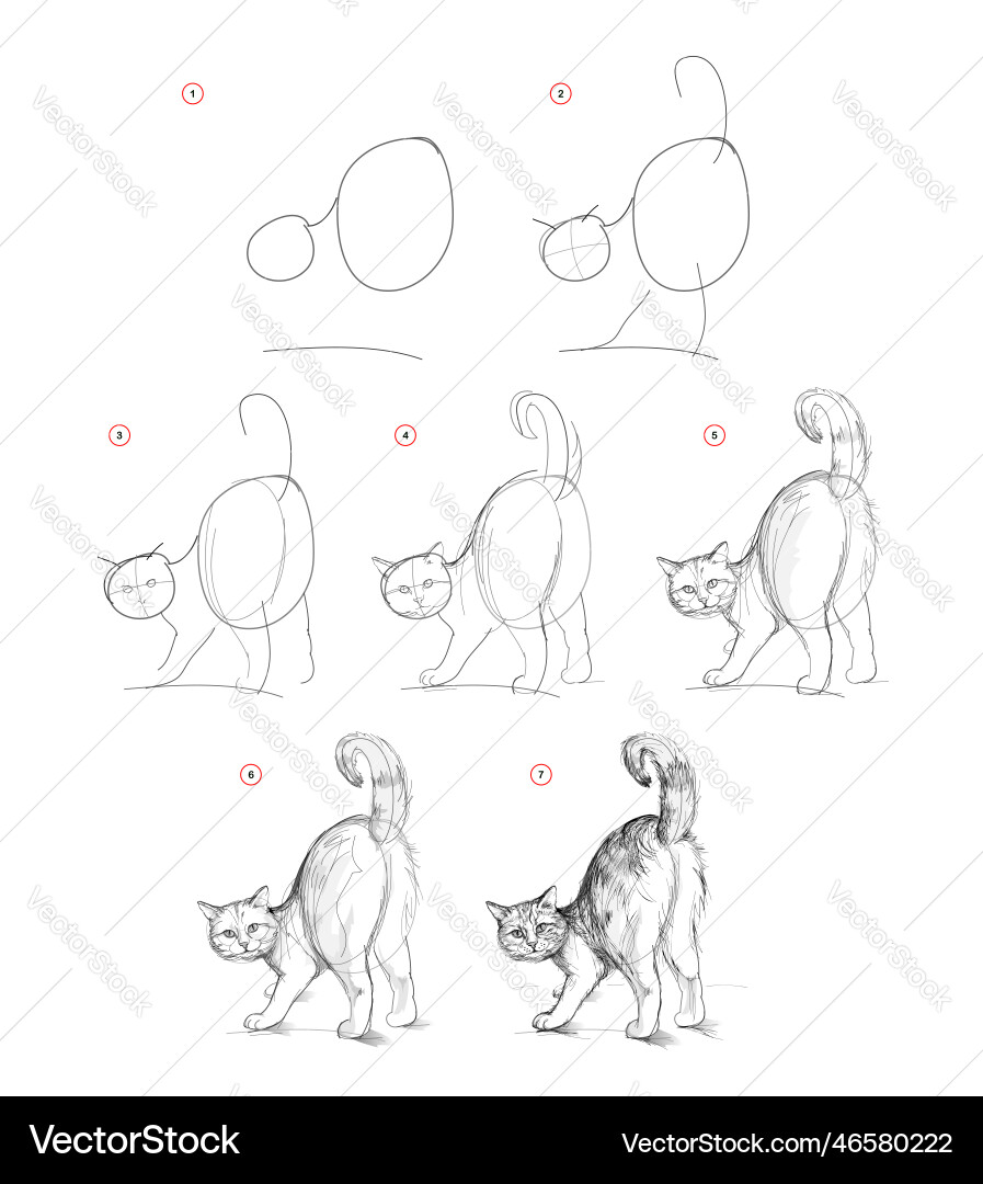Page shows how to learn draw sketch a standing Vector Image
