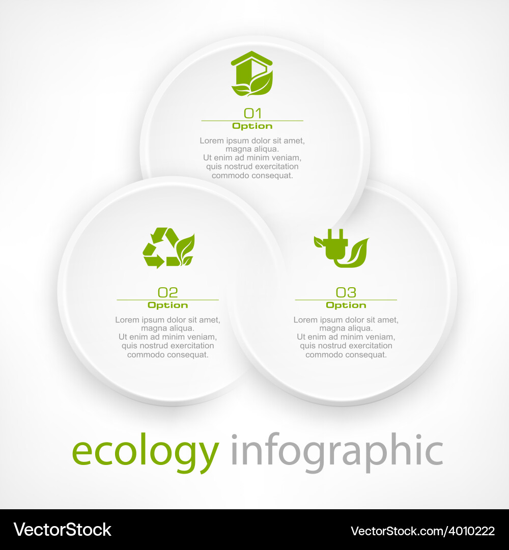 Round Option Elements vector image