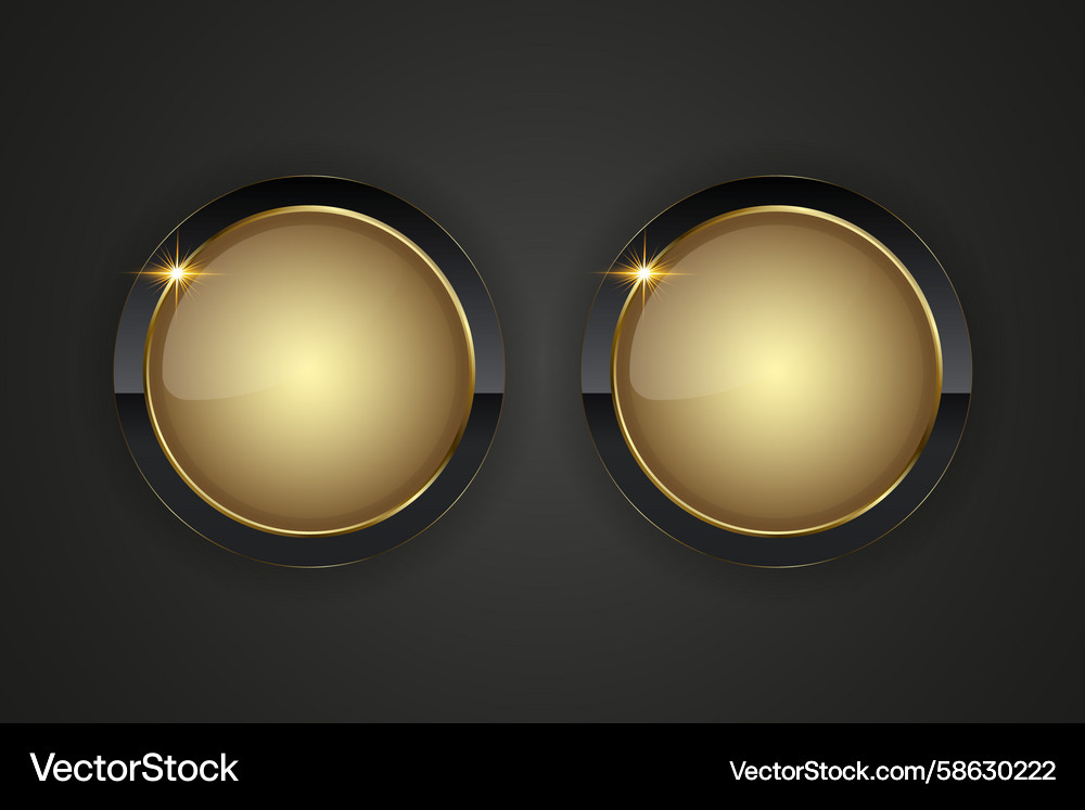 Two luxurious circular button design featuring Vector Image