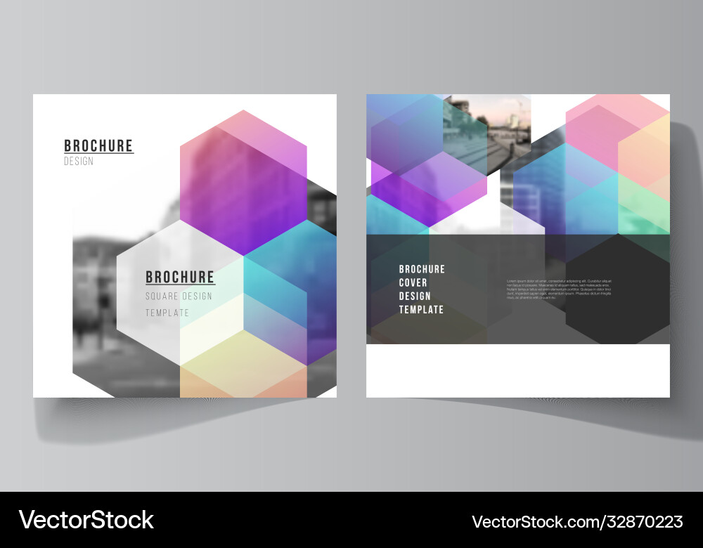 Layout two square format covers design Layout two square format covers design vector image