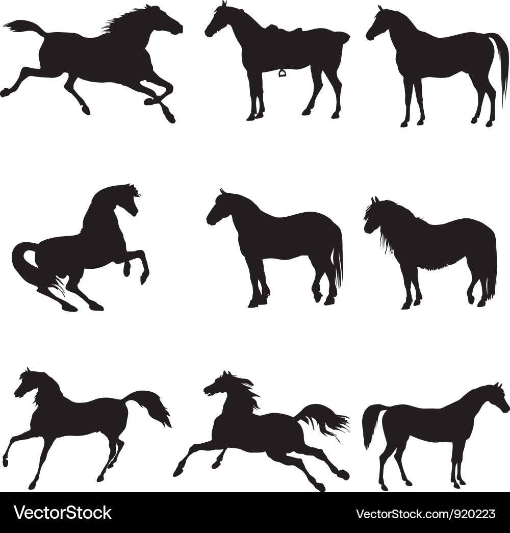 Nine Horse Silhouettes - Galloping & Standing vector image