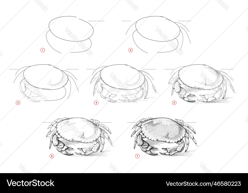 Page shows how to learn draw sketch a brown Page shows how to learn draw sketch a brown vector image