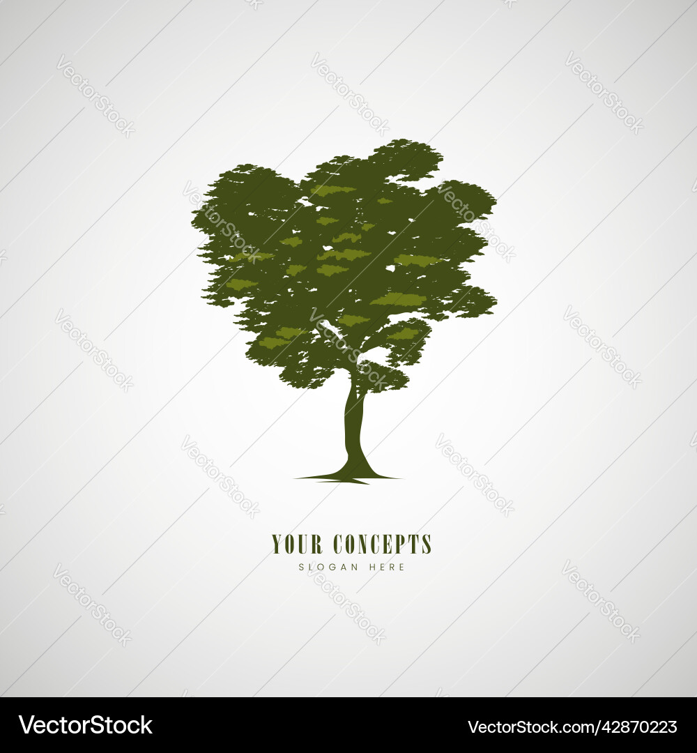 Tree with pine trees forest isolated on white Tree with pine trees forest isolated on white Vector Image