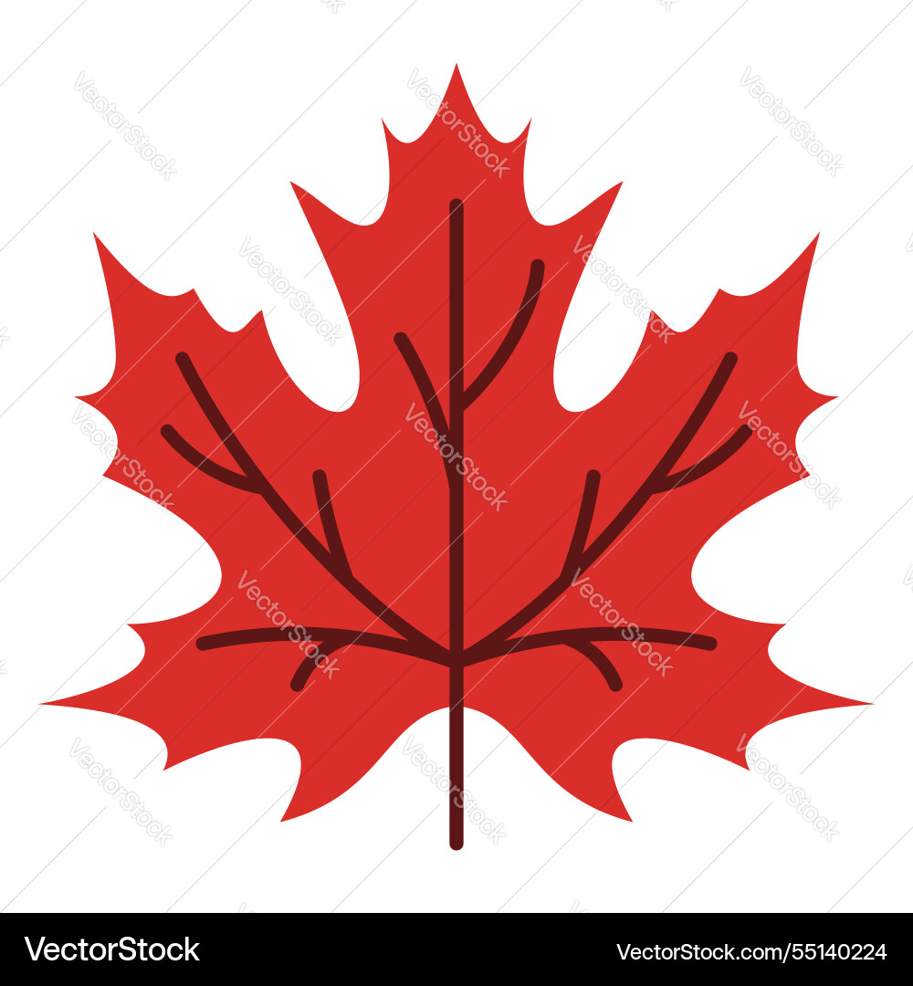 Celebrate victoria day element design Vector Image