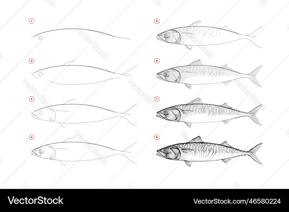 Page shows how to learn draw sketch a fish Page shows how to learn draw sketch a fish vector image