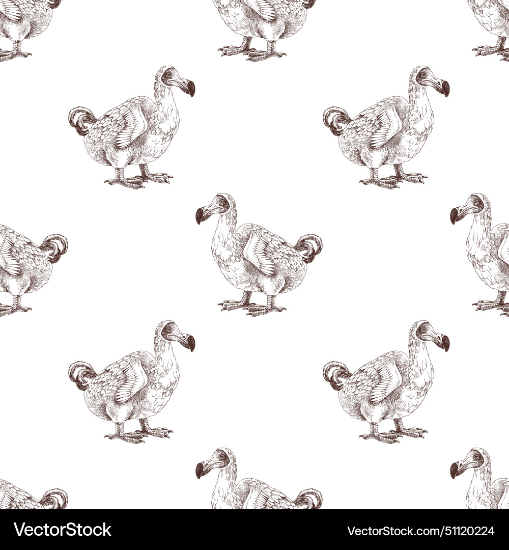 Seamless pattern with dodo extinct birds vector image
