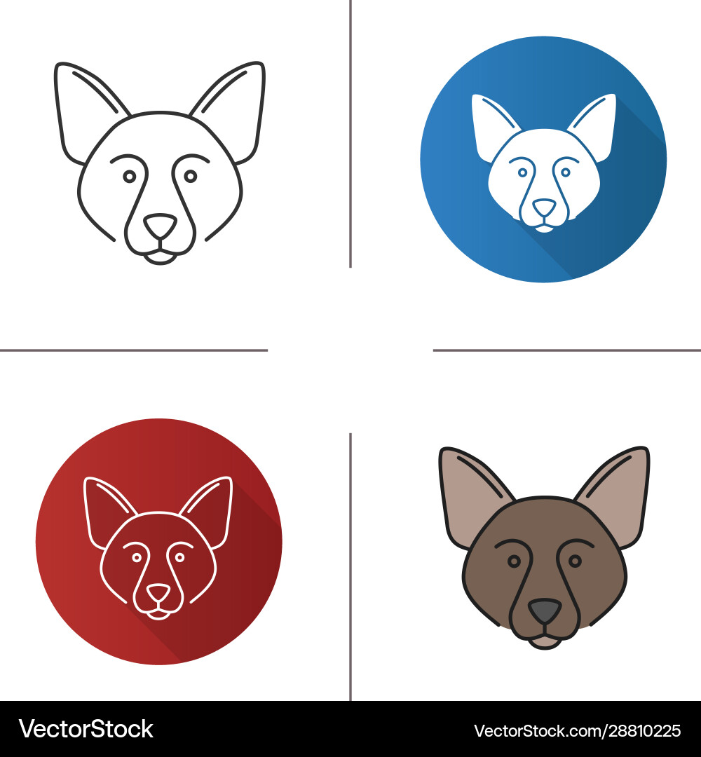 Border collie icon Border collie icon vector image