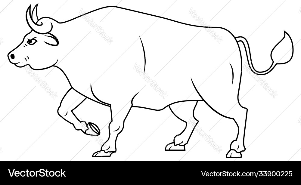 Line drawing simple bull buffalo Line drawing simple bull buffalo vector image