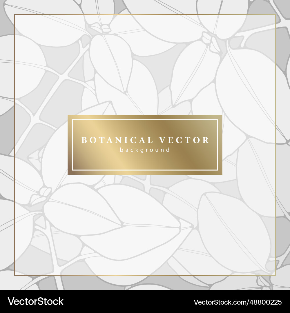Minimalistic square botanical background Minimalistic square botanical background Vector Image