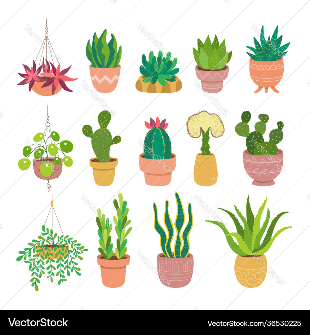 Succulents and cactus colorful collection Vector Image