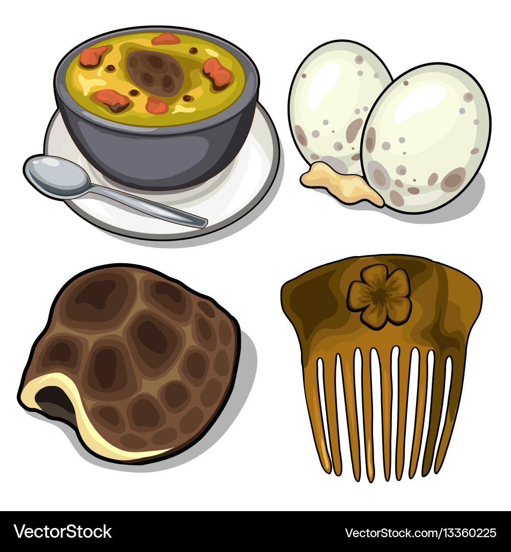 Turtle shell eggs soup and comb animal concept Vector Image