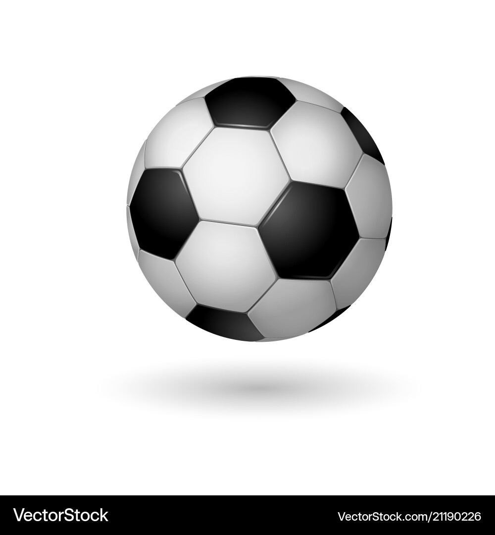 High detail soccer ball High detail soccer ball vector image