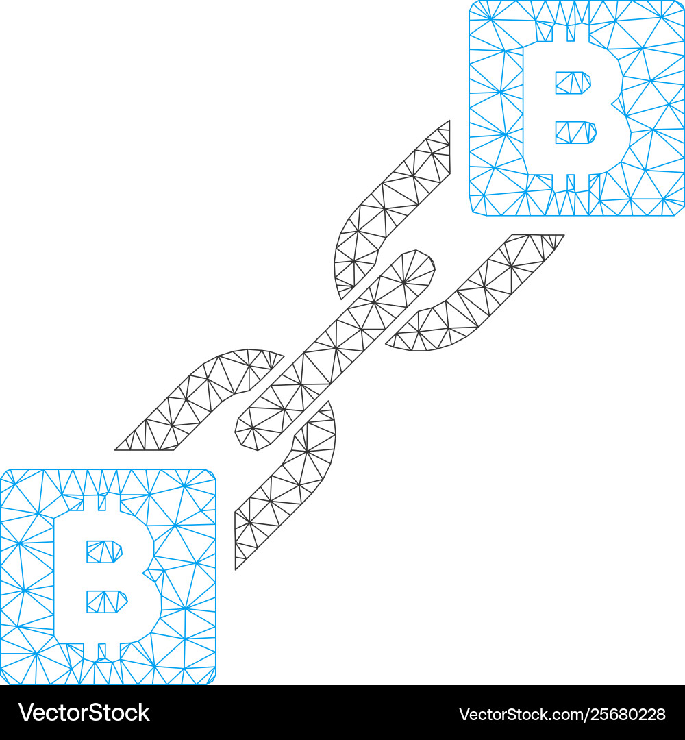 Bitcoin blockchain mesh carcass model Bitcoin blockchain mesh carcass model vector image