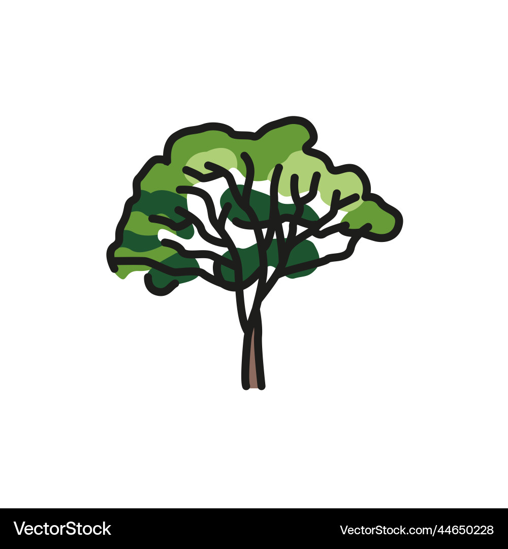 Eucalyptus tree color line icon pictogram for web vector image