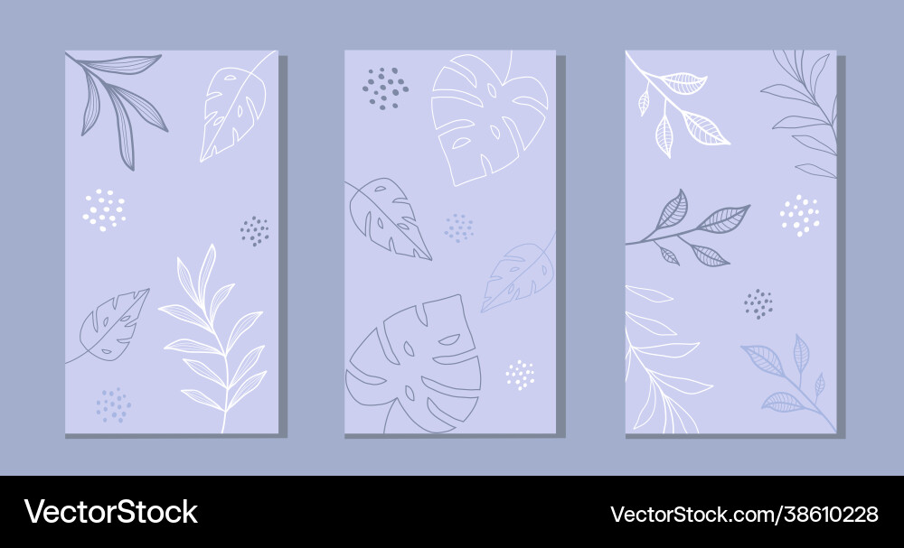 Set botanical art lines on abstract backgrounds Set botanical art lines on abstract backgrounds vector image