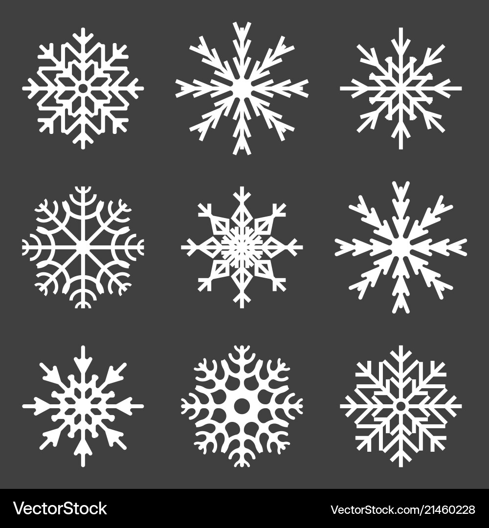Set of snowflake icons on a gray background vector image