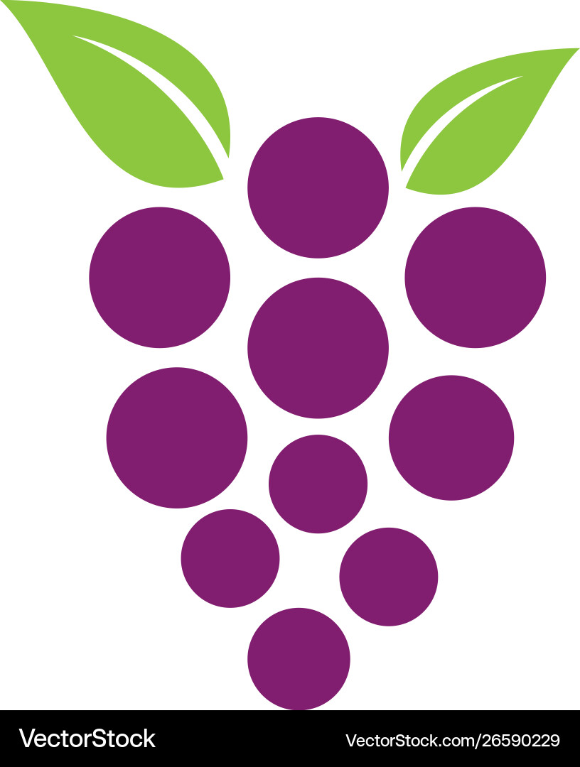 Grape with leaf icon Vector Image