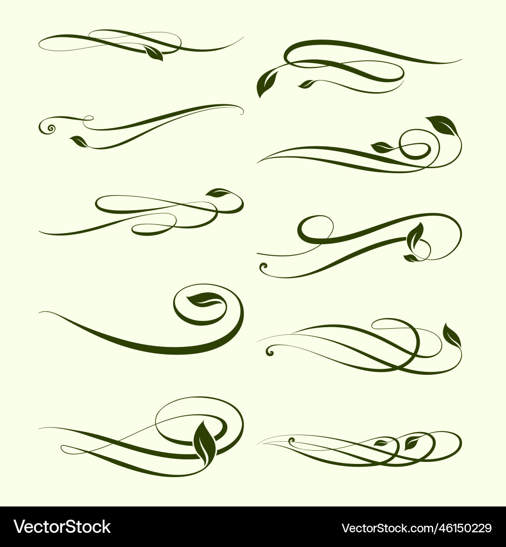 Green swash ornamental with leaf Green swash ornamental with leaf vector image