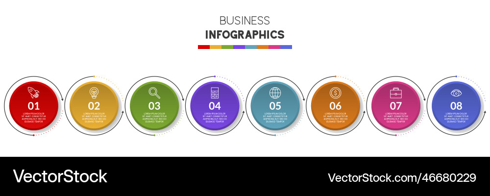 Workflow & Process Infographic Template vector image
