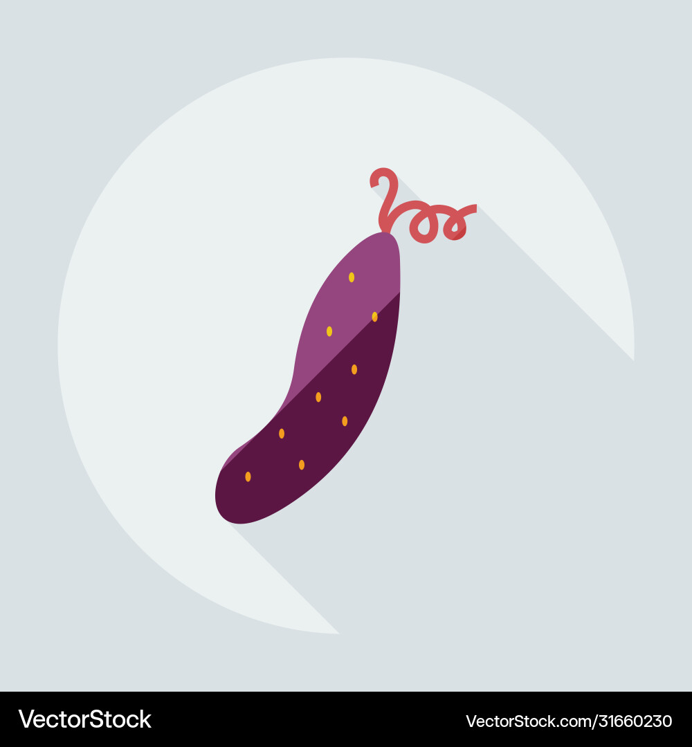 Flat modern design with shadow icons cucumber Flat modern design with shadow icons cucumber vector image