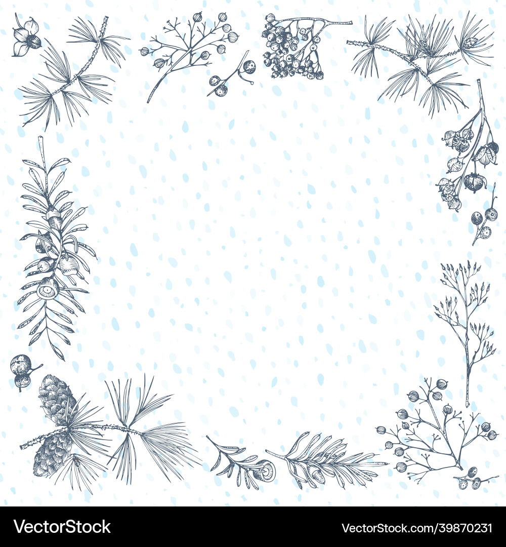 Hand-drawn sketch christmas plants frame with pine vector image