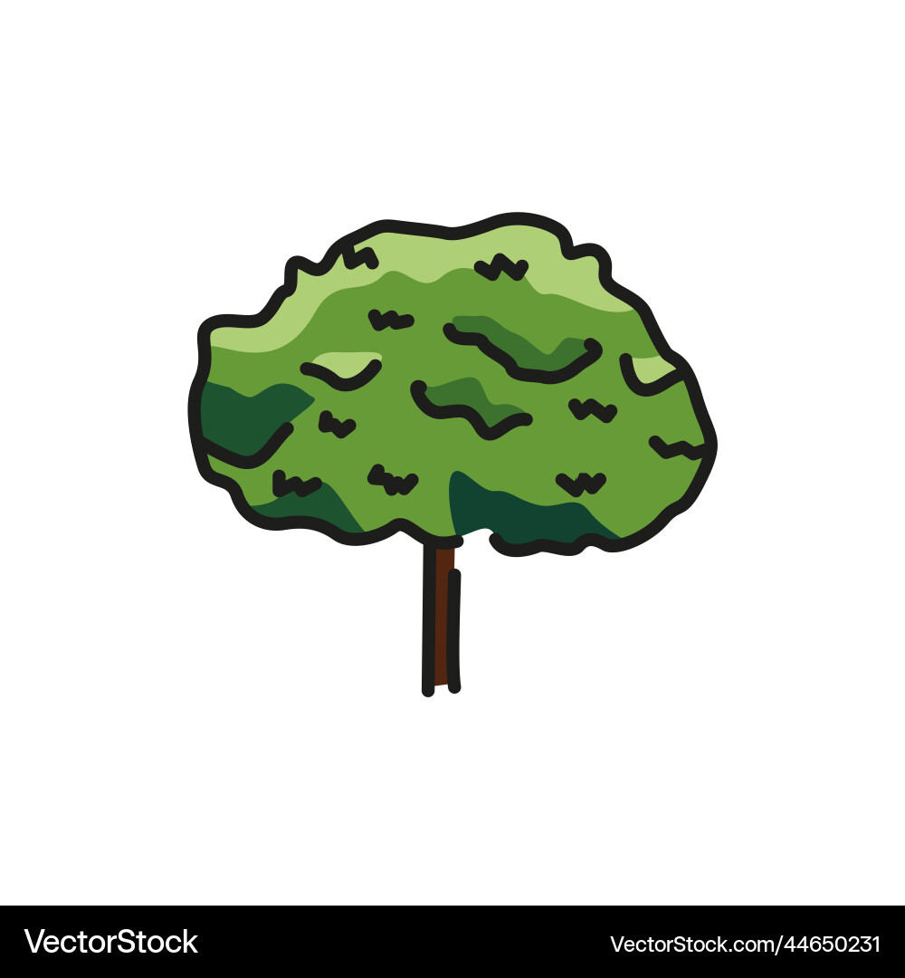 Maple tree color line icon pictogram for web page vector image
