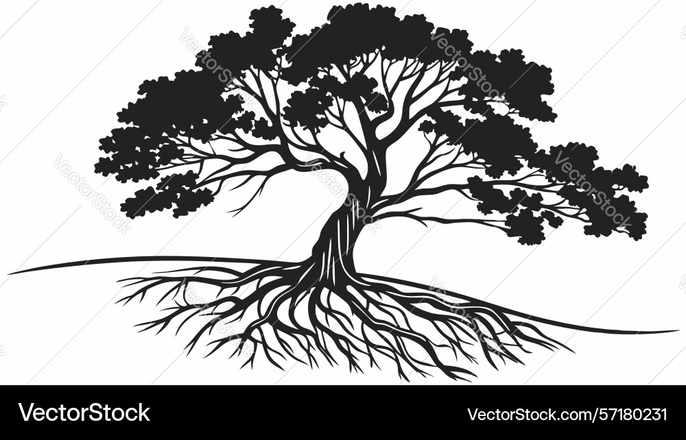 Sprawling tree with visible roots art design Vector Image
