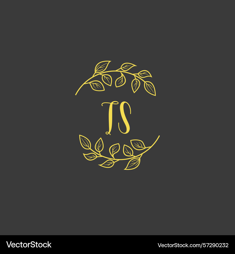 Botanical monogram logos with initial ts Vector Image