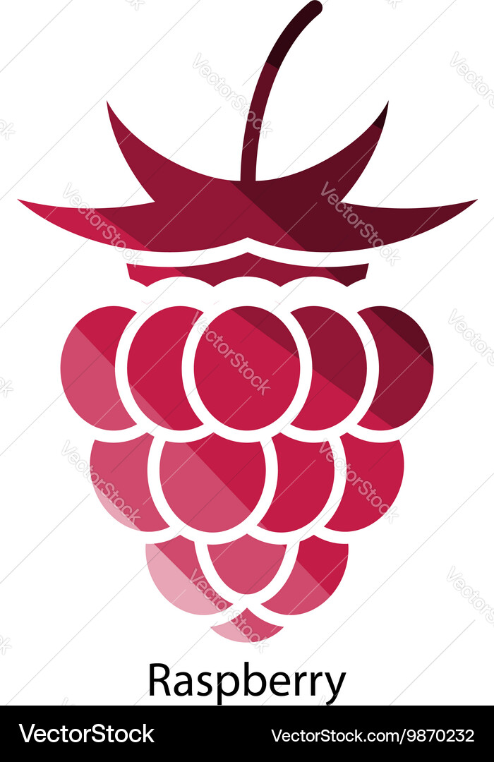 Raspberry icon vector image