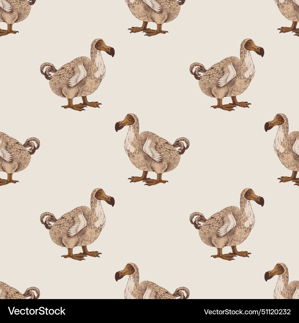 Seamless pattern with dodo extinct birds vector image