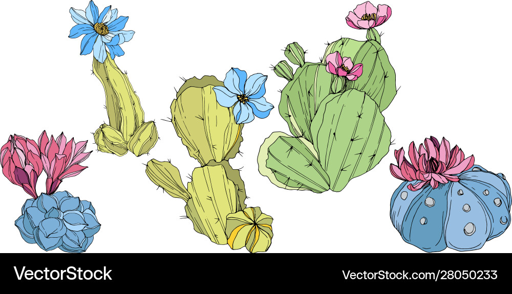 Cacti floral botanische Blume grün Cacti floral botanische Blume grün vektorbild