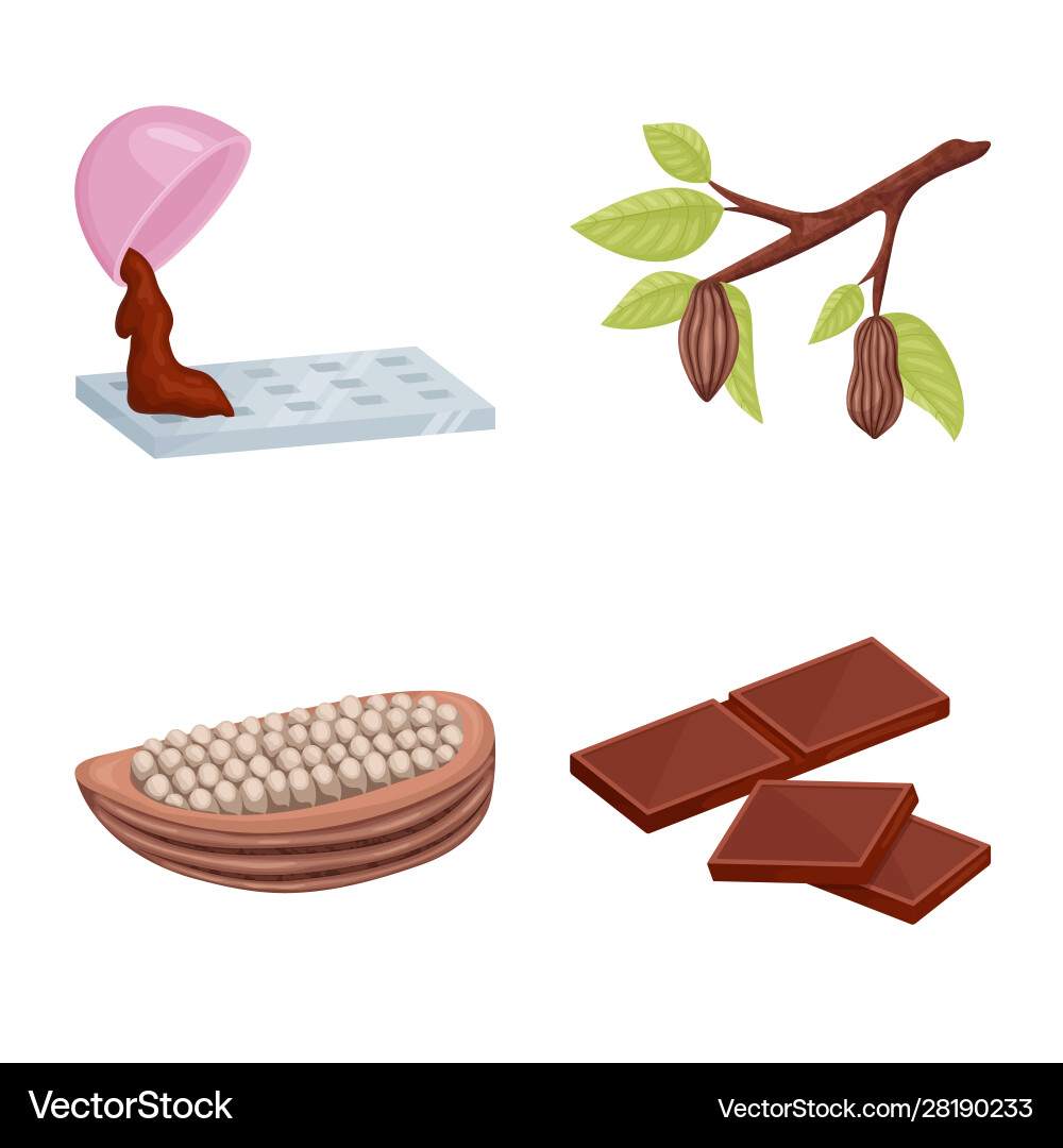 Design cocoa and beans sign collection Design cocoa and beans sign collection Vector Image