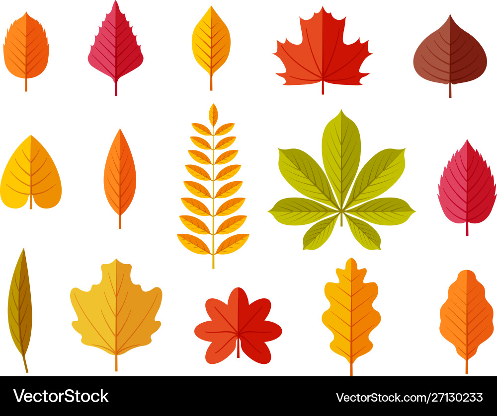 Herbstblätter bunten Herbstblatt Kastanien Herbstblätter bunten Herbstblatt Kastanien vektorbild