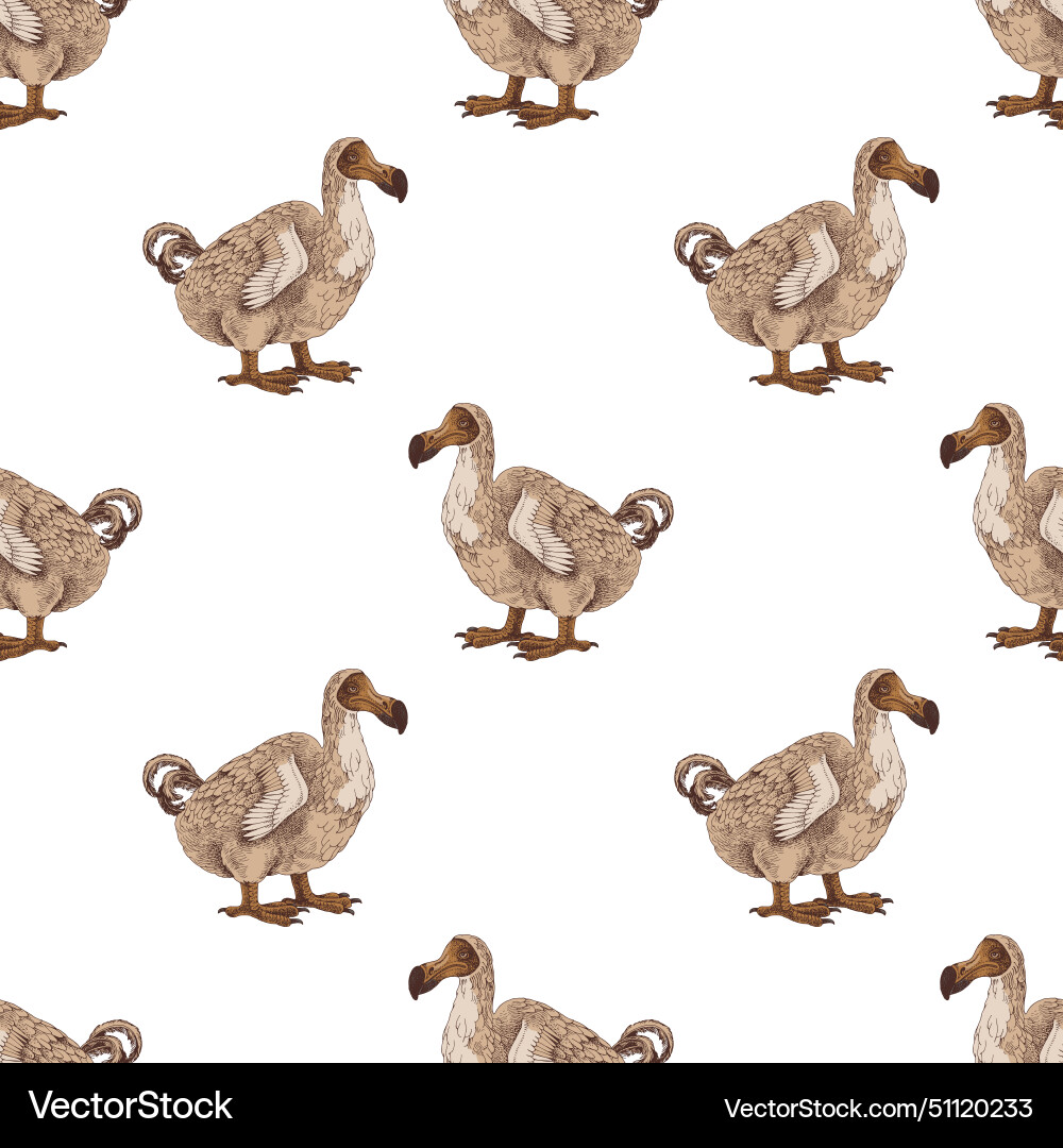 Seamless pattern with dodo extinct birds vector image