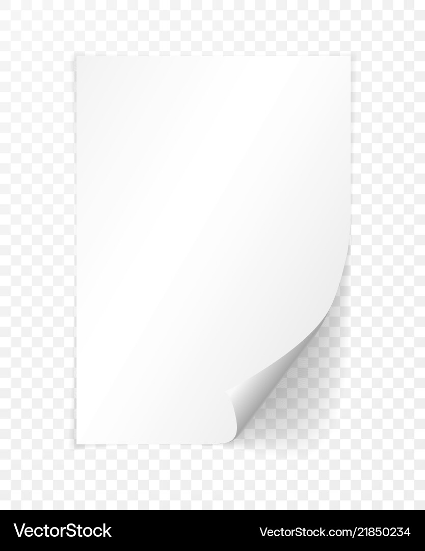 A4 paper with shadow design template A4 paper with shadow design template vector image