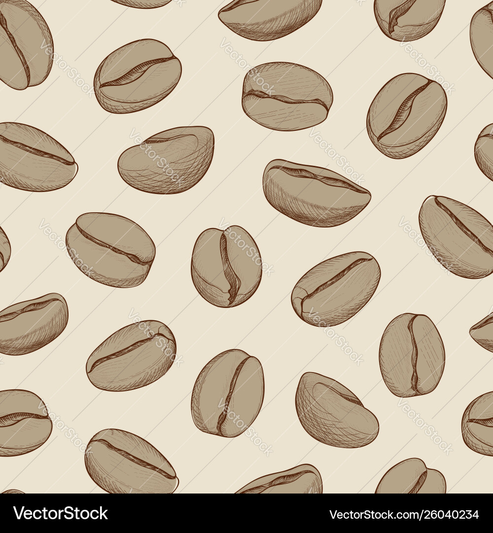 Coffee seamless pattern beans hand-drawn Vector Image