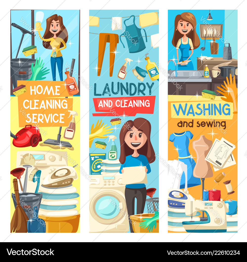 Home cleaning laundry and dish washing service vector image