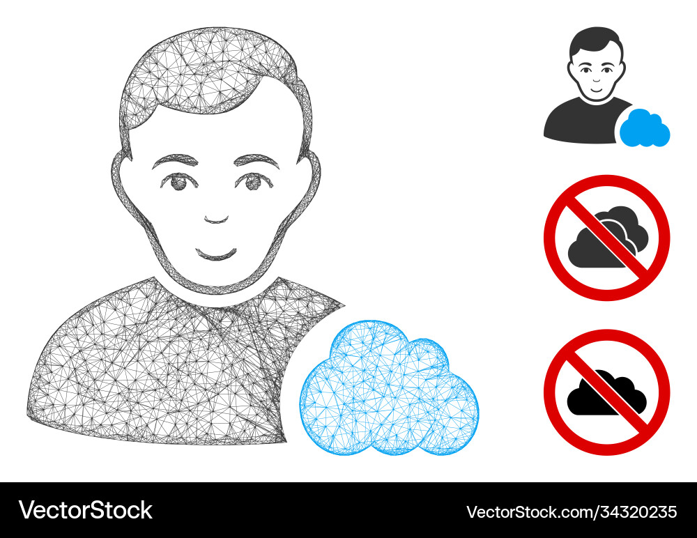 User cloud polygonal web mesh vector image